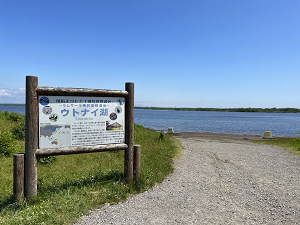 苫小牧の観光地ウトナイ湖
